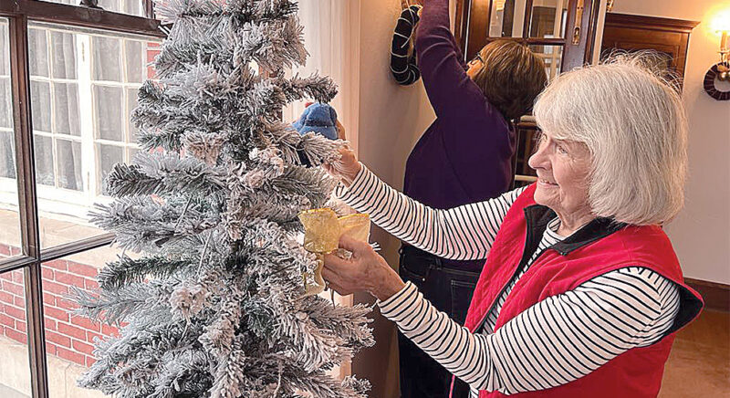 100 Christmas Trees Celebration set for Sunday